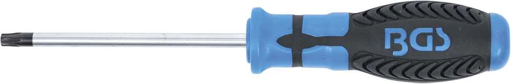 Grąžtas BGS Atsuktuvas Torx – T30 dydis – 100 mm ašmenų ilgis
