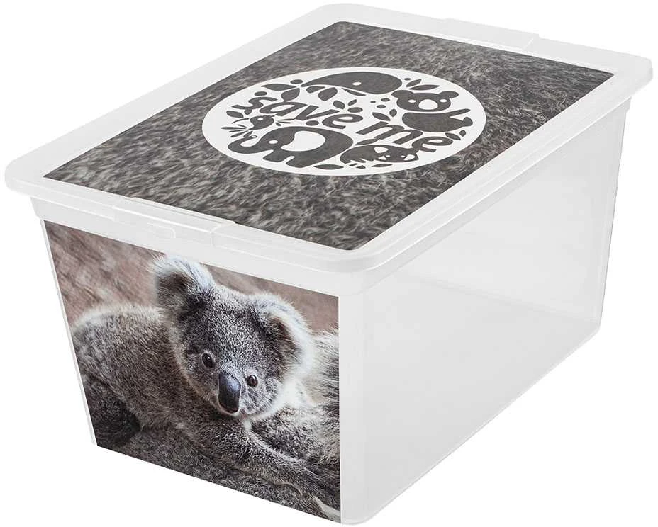 Branq Laikymo dėžė X box deco koala 30L Skaidri