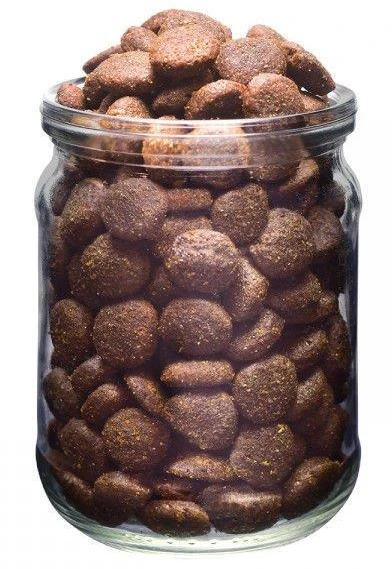 Brit Fresh Dog žuvis su moliūgu Suaugęs Didelis 2,5kg