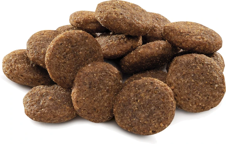 BRIT PREMIUM Dog by Nature Adult L 15 kg