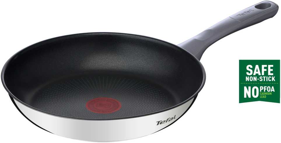 TEFAL | Pan | G7300455 Kasdieninis virėjas | Kepimas | Skersmuo 24 cm | Tinka indukcinei kaitlentei | Fiksuota rankena
