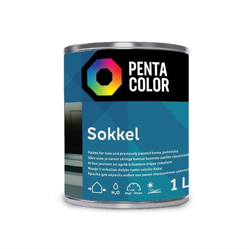 Cokoliniai dažai Pentacolor Sokkel, balti, 1 l