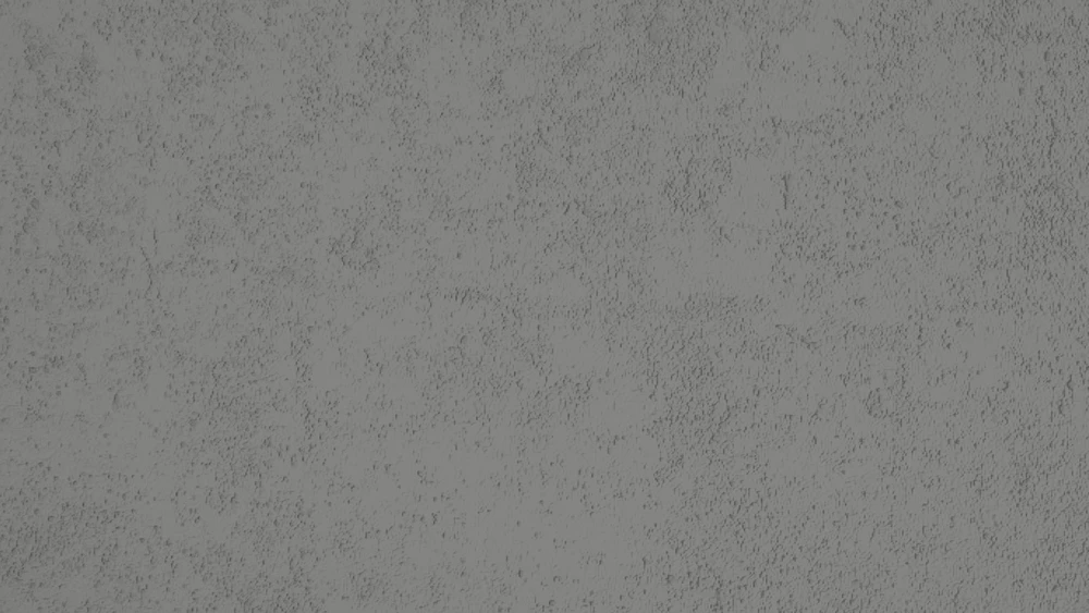 Carruzzo PLASTER DECOR JEGER BETON 7KG ROMA