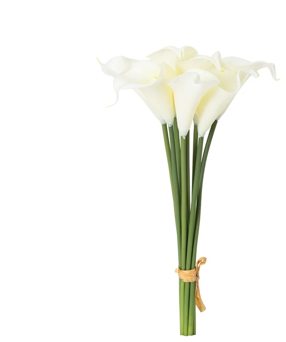 Dirbtinės gėlės. kalijos Domoletti. kreminė. 32 cm 9vnt