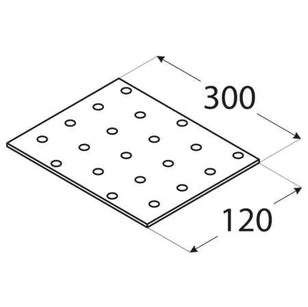 DMX Plokštelė PP21 300x120x2mm montavimo plati