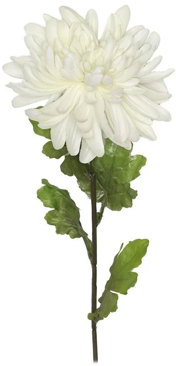 Domoletti Dirbtinė chrizantema. 71 cm