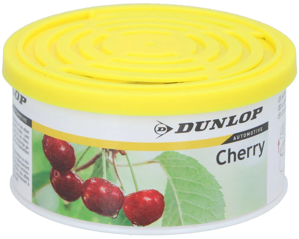 Automobilio oro gaiviklis Dunlop