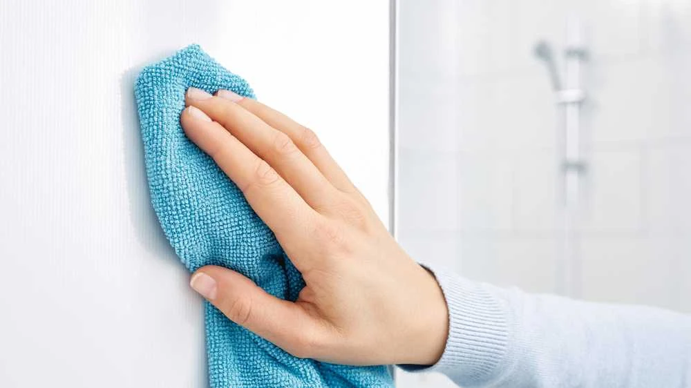 Dušo sienelių valytuvas su prikl. laikikliu TESA SPAA 40345