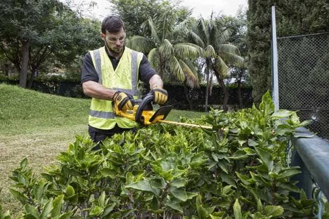 Akumuliatorinės gyvatvorių žirklės Dewalt DCM563P1