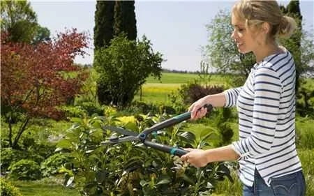 Gardena Gyvatvorių žirklės "EasyCut"