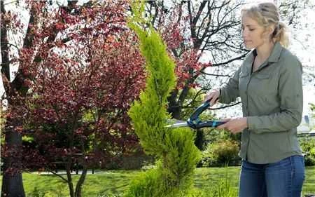 Gardena gyvatvorių žirklės PrecisionCut