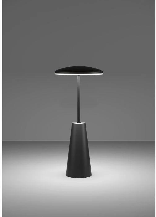 Stalinis šviestuvas Eglo 900925, LED, 2.8W
