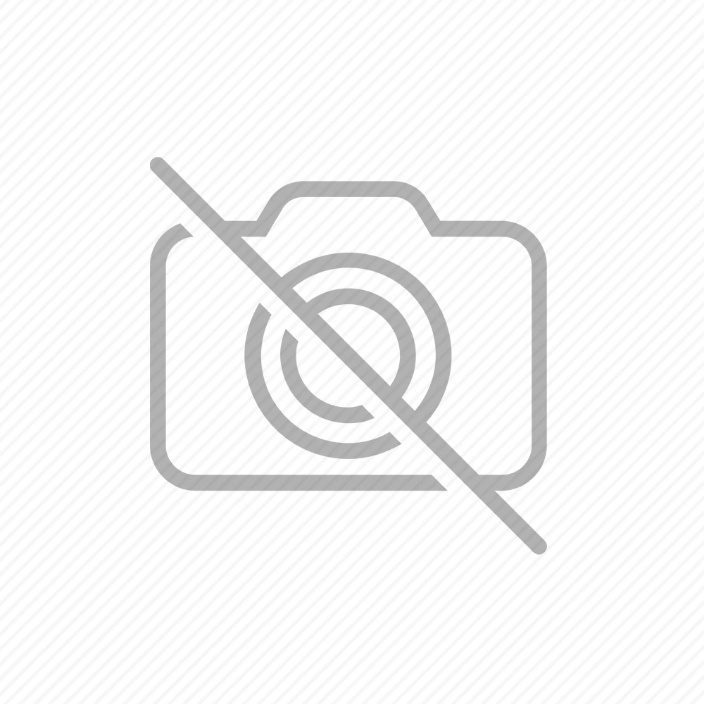 Einhell benzininis skarifikatorius GC-SC 4240 P - 3420019