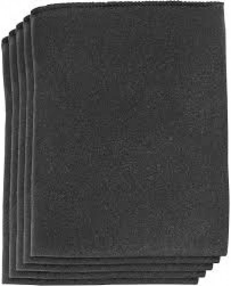 Einhell 2351132 FILTRAS PIANKOWY DO ODKURZACZY (5 vnt)
