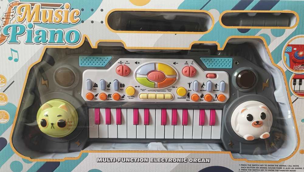 Nežinomas Elektrinis pianinas su mikrofonu Music Piano 8828