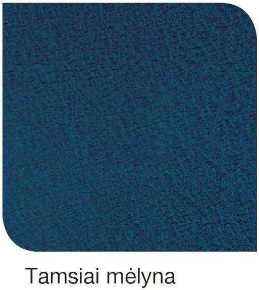 Hammerite emaliniai dažai – tamsiai mėlyna spalva