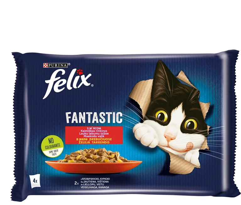 FELIX KONS ĖDAL KAT MĖS KONS.SU PADAŽ.4X85G