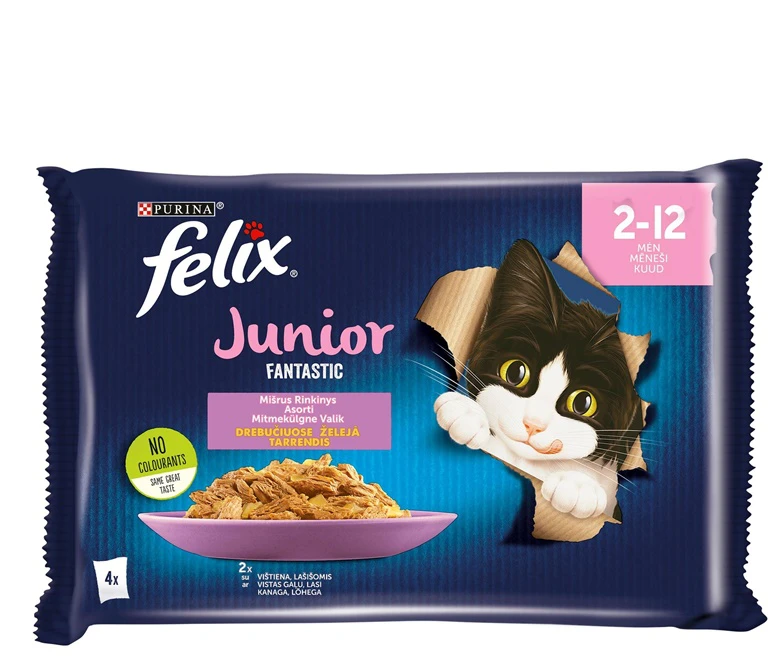 FELIX KONS ĖDAL KAT JUNIOR KONS.SU PAD 4X85G