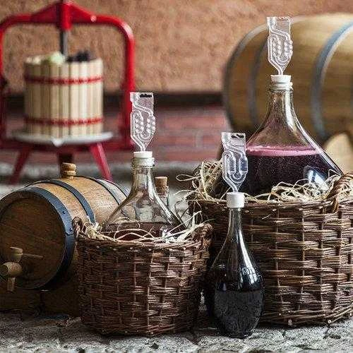 Vyno fermentacijos vamzdelis „Biowin“