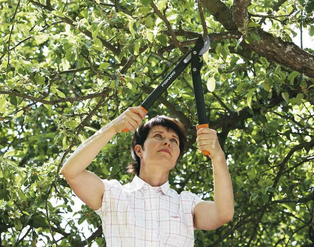 Fiskars PowerGear Lopperio aplinkkelio žirklinė galvutė (S) L72