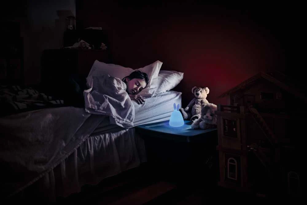 Osram Stalinis šviestuvas Ledvance NIGHTLUX RABBIT 4058075602113