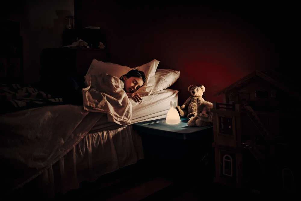 Osram Stalinis šviestuvas Ledvance NIGHTLUX RABBIT 4058075602113