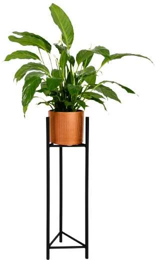 Garden Center Sbox STAND FOR FLOWER POTS SENS L Juodas 27X75