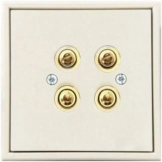 Speaker connection socket LIREGUS MODERN. 2-gang. beige