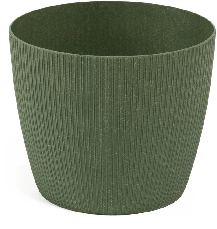Lamela Gėlių vazonas Magnolija Jumper medis, 160x140 mm, žalias