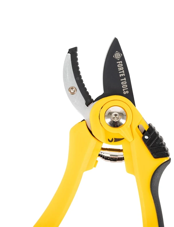 Genėtuvas ir sekatorius Forte Tools 42-405FT. 79 cm