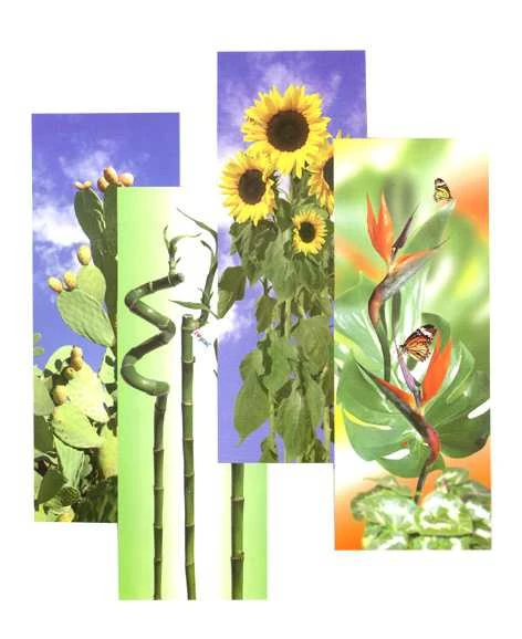 Lyginimo lentų užvalkalas Gimi I Love Gimi L, 130 cm x 44 cm, įvairių spalvų/,spalva/dizainas parenkami atsitiktine tvarka,