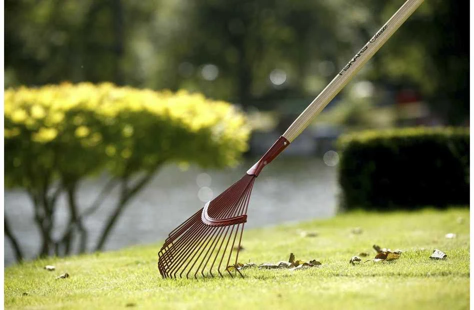 Fiskars Løvrive med runde tænder - Zinck/Lysbro 144001