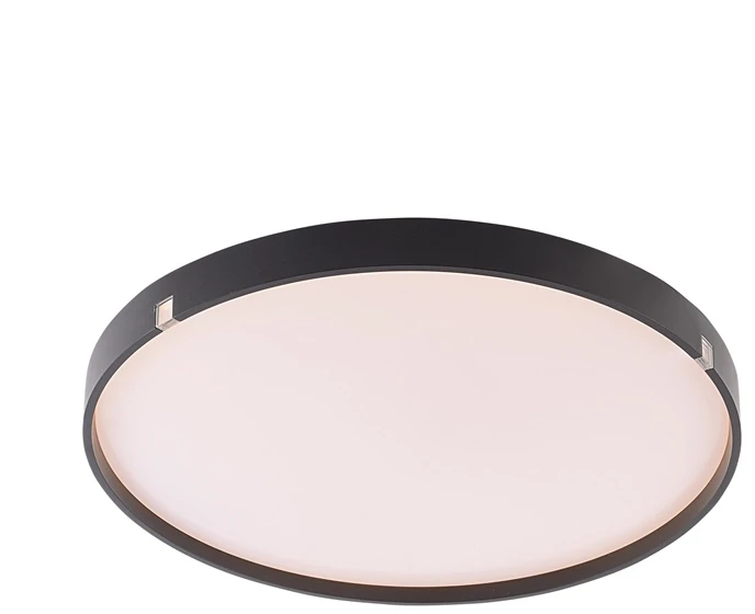 Šviestuvas plafonas Tope LED. 2X24W. 3000-6500K. 3800lm. DIA40