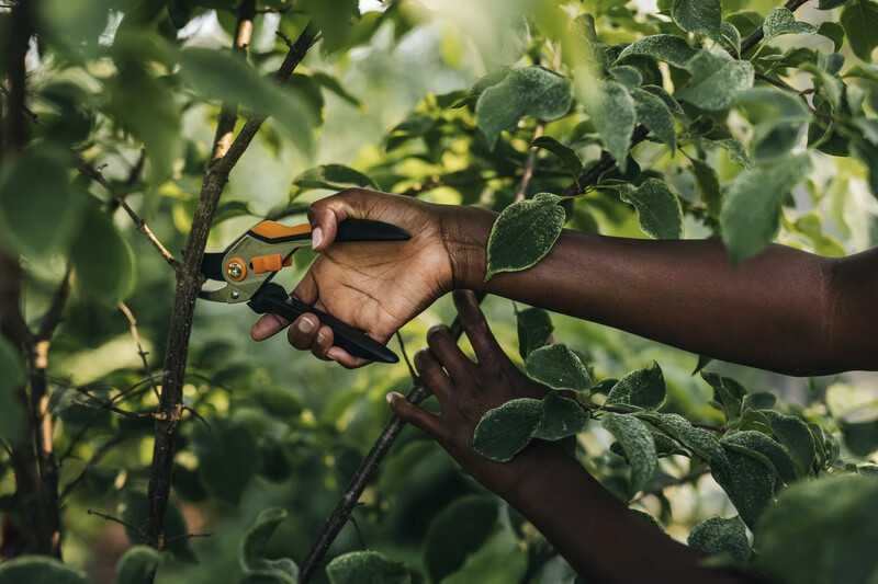 Fiskars Solid™ sekatorius prasilenkiančiais ašmenimis, metalinis (P331)