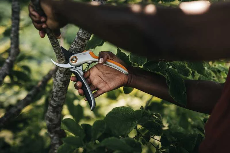 Sekatorius žalioms šakoms Fiskars P531, 25 cm
