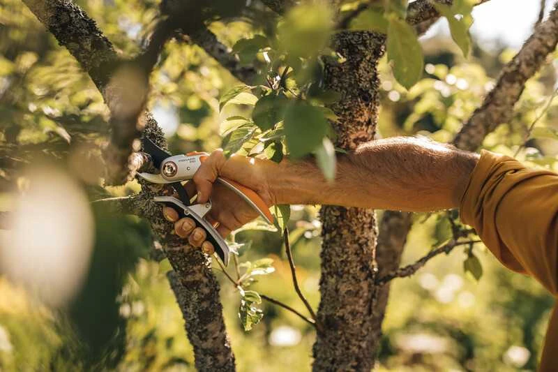 Sekatorius žalioms šakoms Fiskars P751, 25 cm
