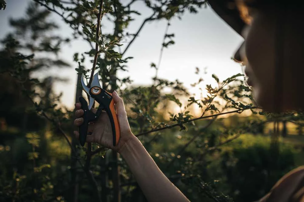 Fiskars Plus PowerLever sekatorius prasilenkiančiais ašmenimis (P721)