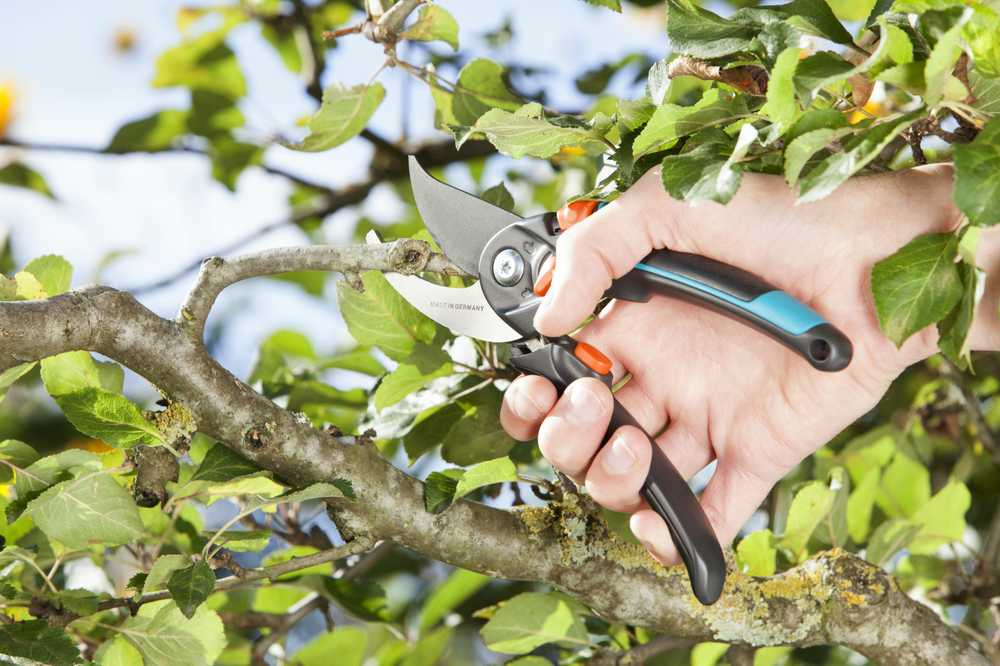 Gardena Sekatorius "Comfort" 24mm su reguliuojama rankena