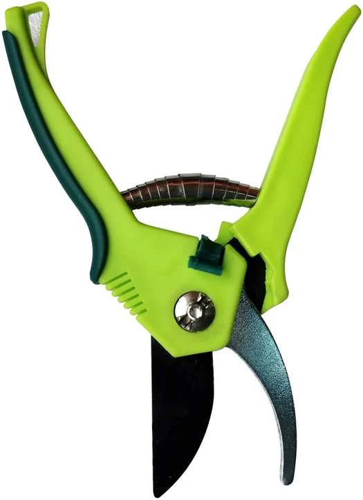 Okko Sekator Watts kavalierius