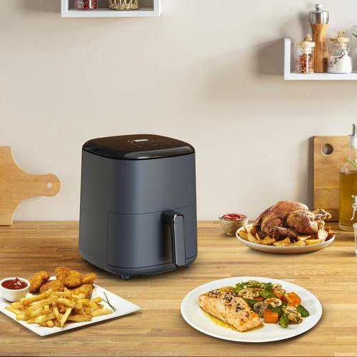 Gruzdintuvė Aerogrils Tefal EY245B10, pelēka, 1500 W, 5 l