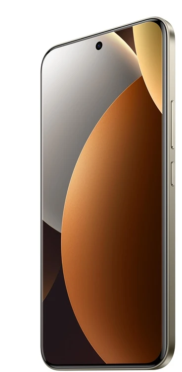 Tualeto šepetys su laikikliu Hansgrohe AddStoris 41752140, šlifuotos bronzos