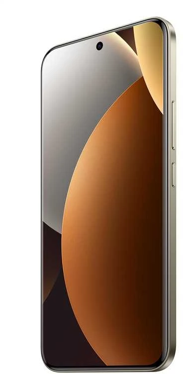 Tualeto šepetys su laikikliu Hansgrohe AddStoris 41752140, šlifuotos bronzos