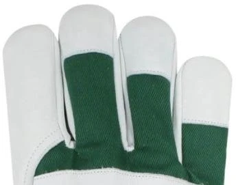 Haushalt Express LEATHER GLOVES WITH COTTON BAC. AB-2401