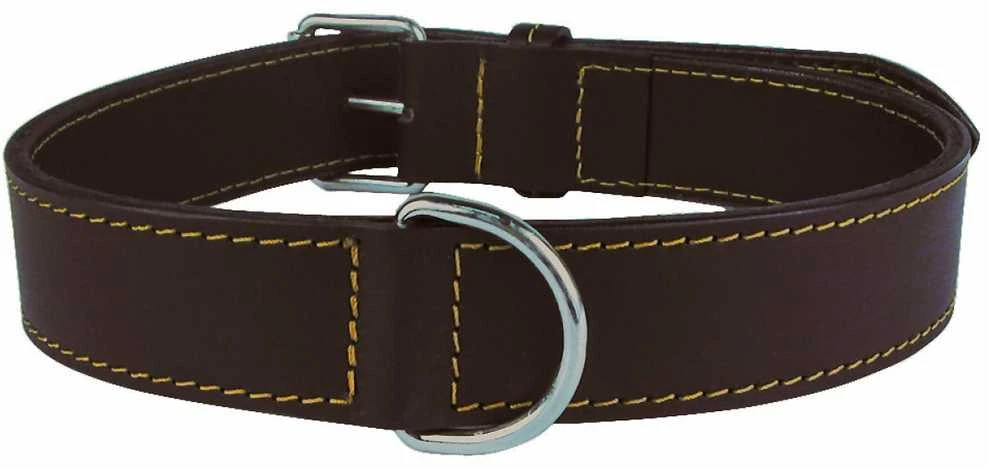 Antkaklis šunims Zolux Leather Lined, ruda sp., 400 mm x 20 mm