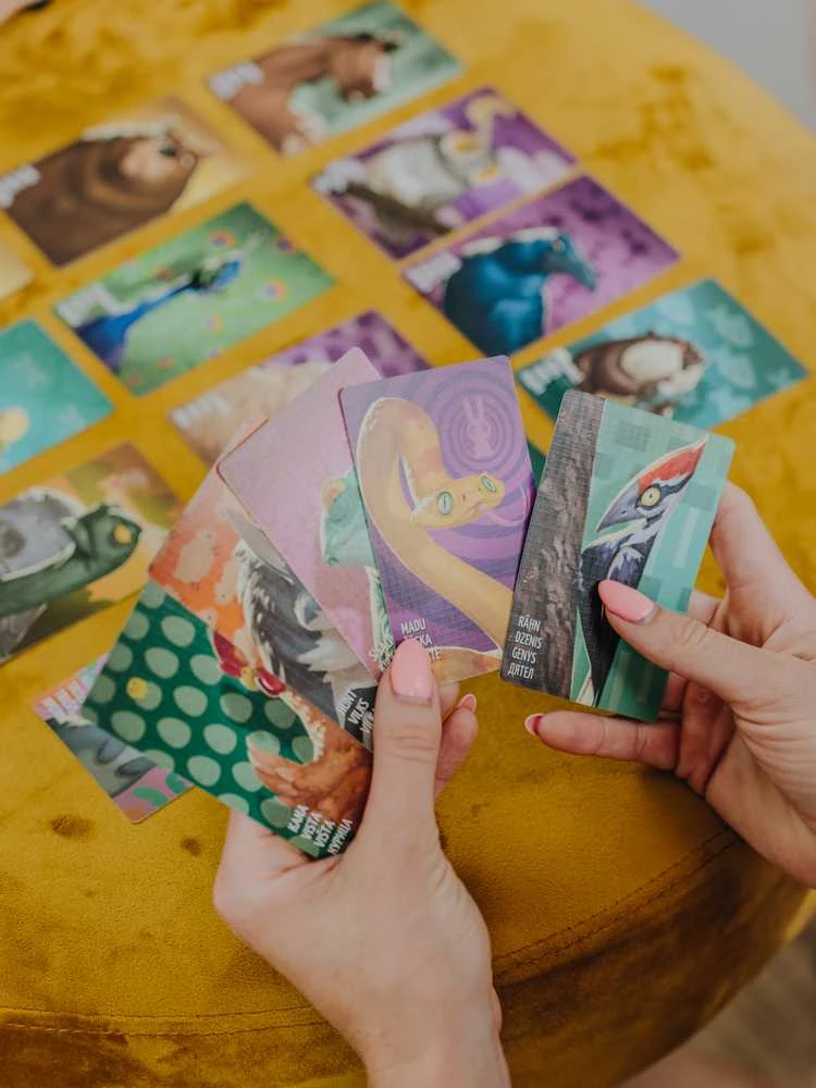Brain Games Protų žaidimai Similo: Gyvūnai | LT/LV/EE/RU