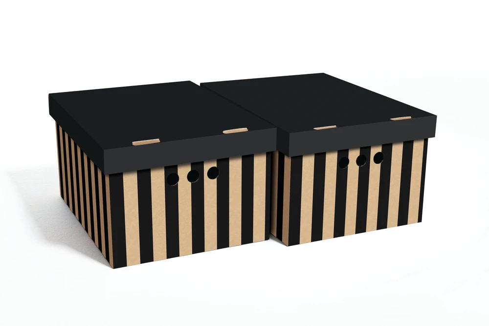 Domoletti FOLDABLE CARTON BOXSET A4 2PCS DOTS
