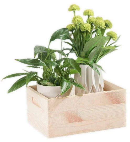 Domoletti WOODEN BOX33X25X15.5 508400