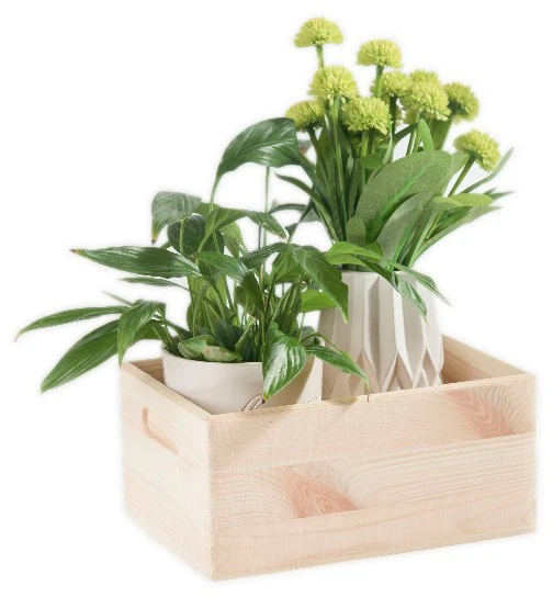 Domoletti WOODEN BOX33X25X15.5 508400