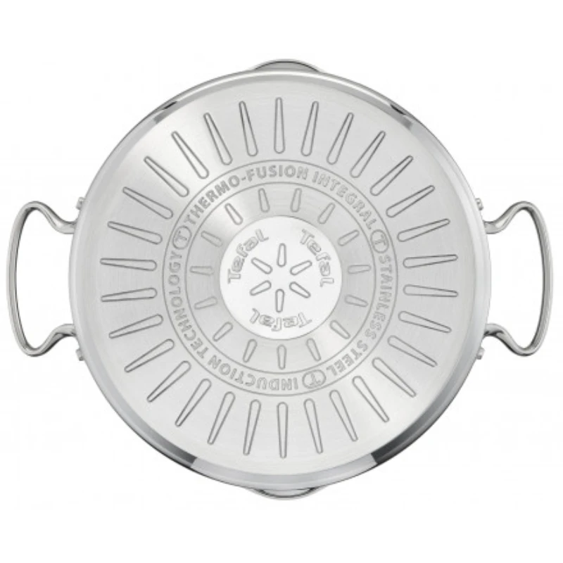 Katls Tefal 3168430212848, 20 cm, 2 l