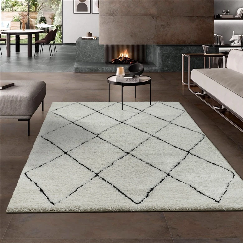 Kilimas Domoletti Ideal 80260 390 baltas/juodas 170 x 120 cm